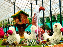 Lalbagh Garden, Bangalore